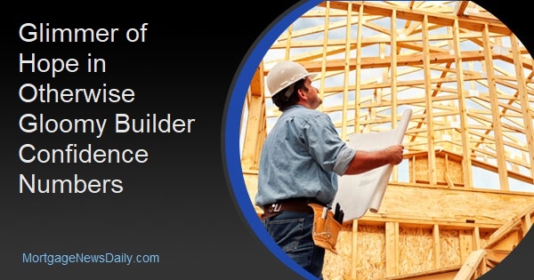 Glimmer of Hope in Otherwise Gloomy Builder Confidence Numbers - Vimarsana News